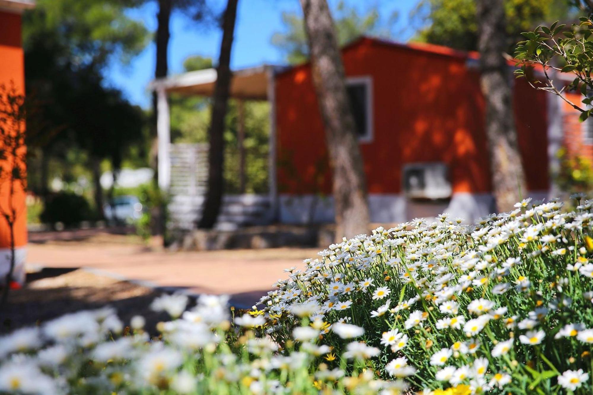 Camping Park Soline Mobile Homes Biograd Na Moru Exterior foto